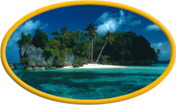 Dschungelinsel Logo.png