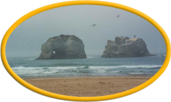 Dracheninsel Logo.png