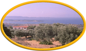 Kokosinseln Logo.png